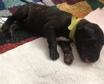 Neues aus dem Planschbecken